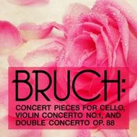 Double Concerto for Clarinet: Viola and Orchestra in E Minor, Op. 88: II. Allegro Moderato