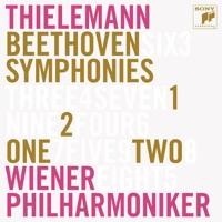 Symphony No. 2 in D Major, Op. 36: IV. Allegro molto
