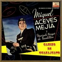 Camino De Guanajuato (Ranchera)