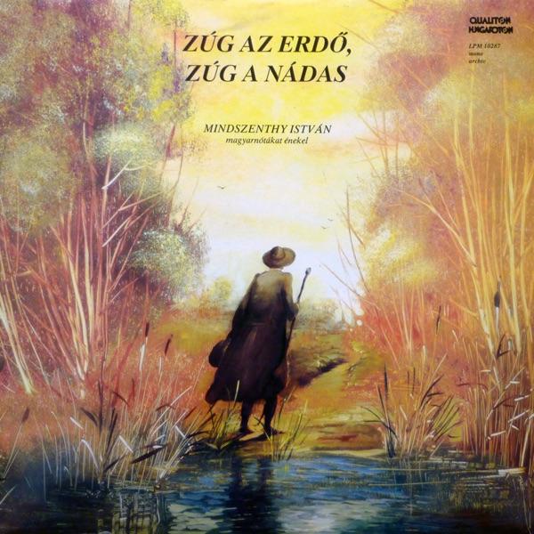 Tulipános Láda