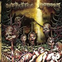 Feeds of Zombie