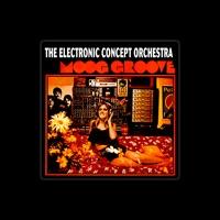 The Electronic Concept Orchestra