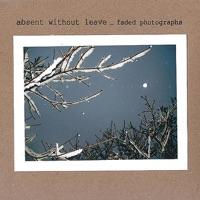 Above the Trees