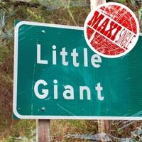 Little Giant (Dub Goddess Version)