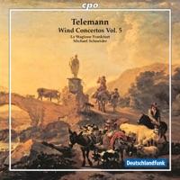 Double Concerto for 2 Flutes and Lute in E Minor, TWV 52:e2: I. [Largo]