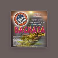 Los Mayimbes De La Bachata