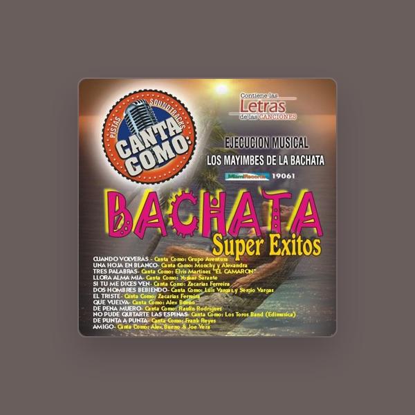 Los Mayimbes De La Bachata