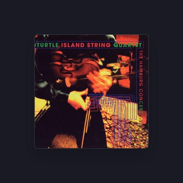 Turtle Island String Quartett