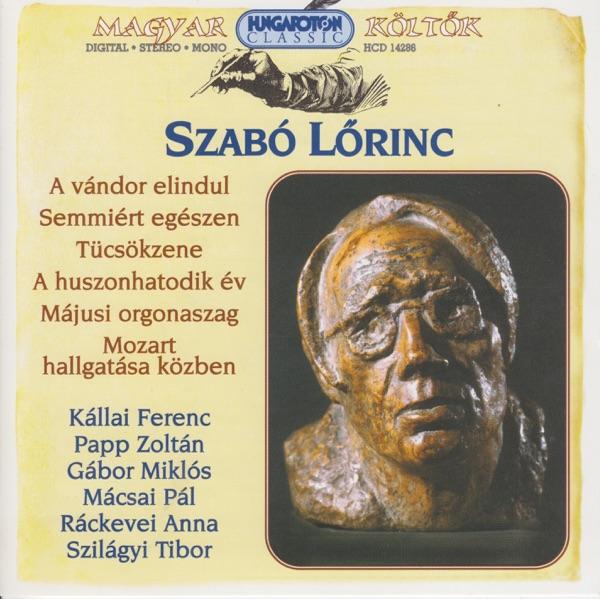Mozart Hallgatása Közben