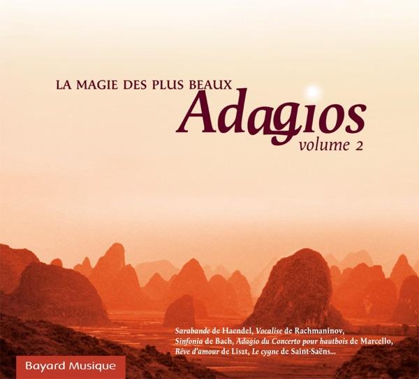 La Belle Au Bois Dormant No. 4, Op. 66: Panorama