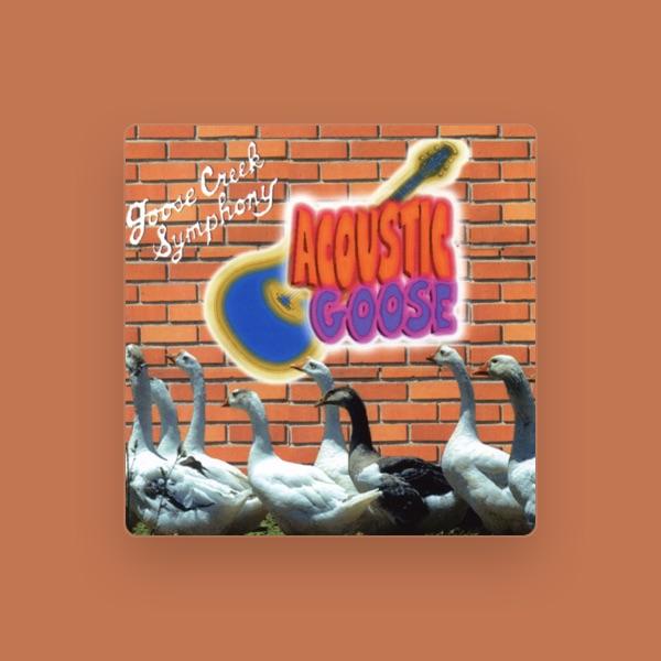 Goose Creek Symphony