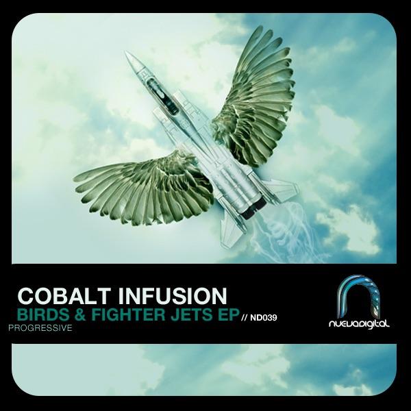 Birds and Fighter Jets