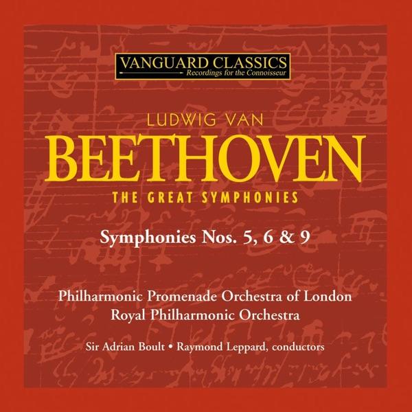 Symphony No. 6, Op. 68 in F Major: V. Finale - Allegretto