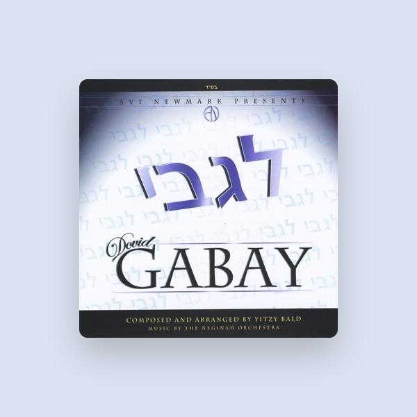 Dovid Gabay