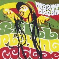 Peaceful Solution (feat. Willie Nelson & Mad Professor)