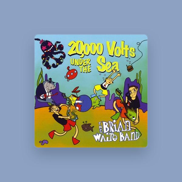 The Brian Waite Band