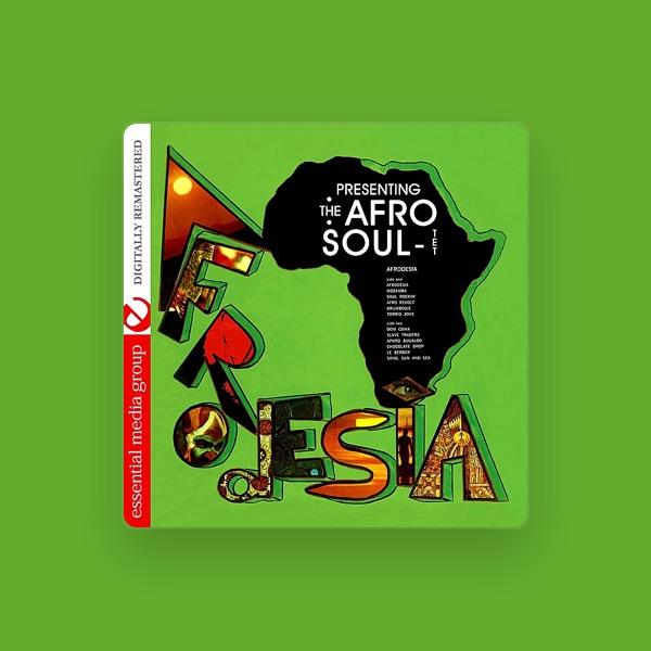 The Afro Soul-Tet