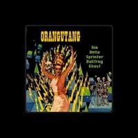Orangutang