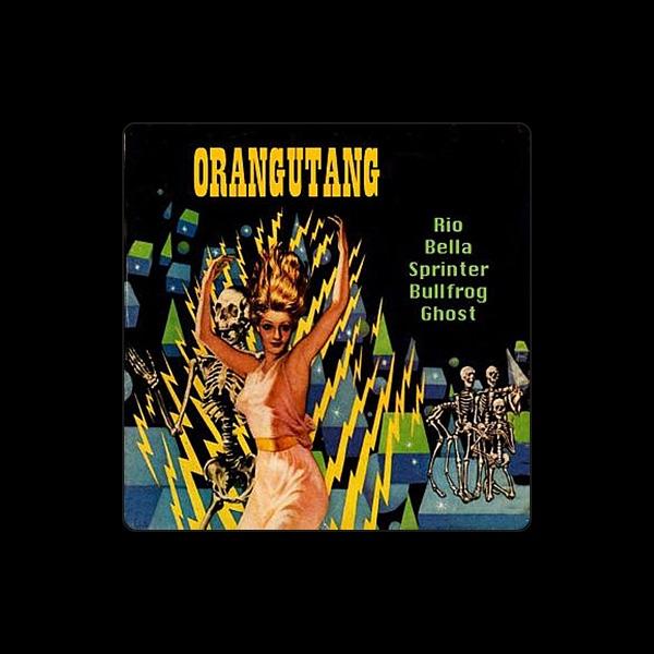 Orangutang