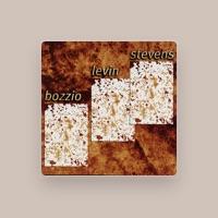 Bozzio Levin Stevens