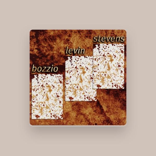Bozzio Levin Stevens