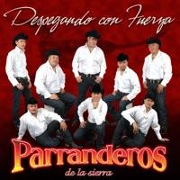 Caminos de la Vida