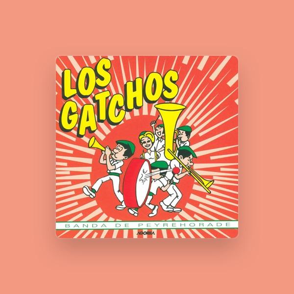 Banda Los Gatchos