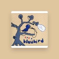 BleuBird