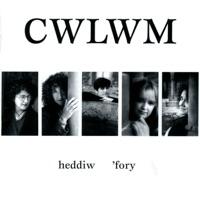 Rhyw Fath O Ryddid
