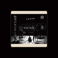 VOICE