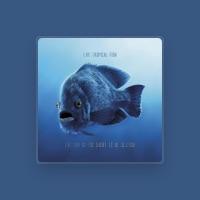Live Tropical Fish