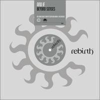 Beyond Senses (Harri & The Revenge Remix)