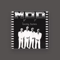 M.O.B
