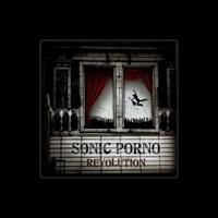 Sonic Porno