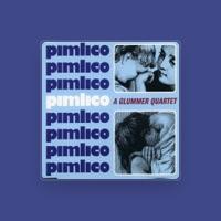Pimlico