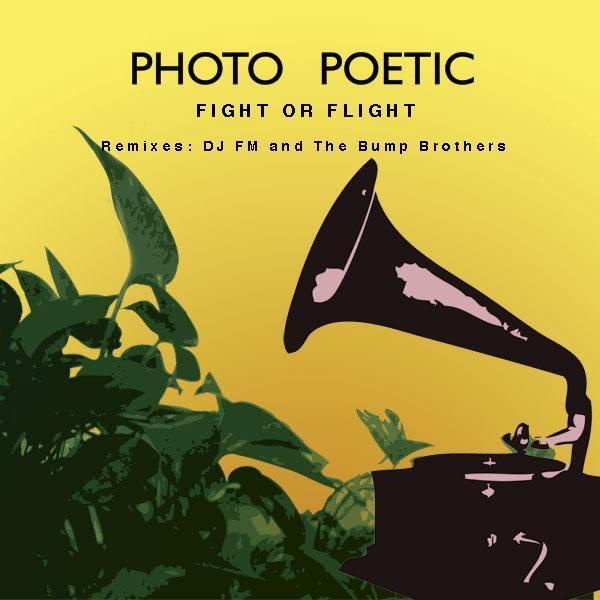 Fight or Flight (DJ FM's Dark House Remix)