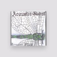 Acoustic Ghost