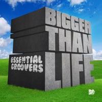 Bigger Than Life (Dark Dub)
