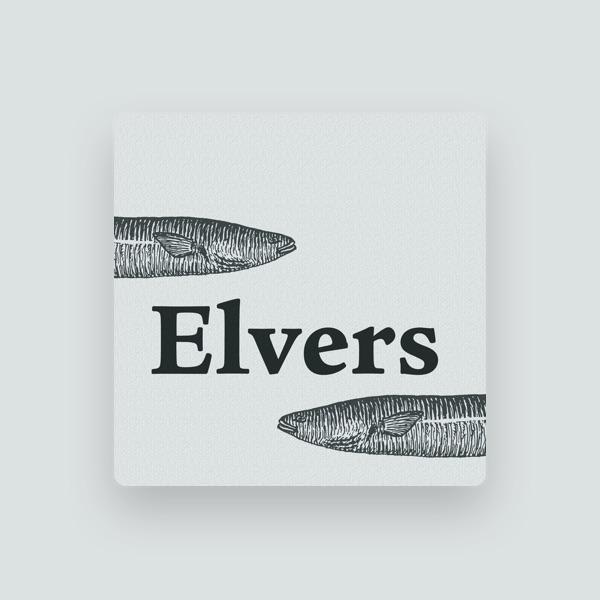 Elvers