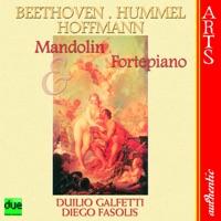 Sonata for Mandolin and Fortepiano In G Major: III. Rondo (Hoffmann)