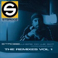 Where Do We Go? (The Remixes Volume 1) [Viscosity Mix]
