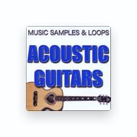 Musical Instrument Samples and Loops