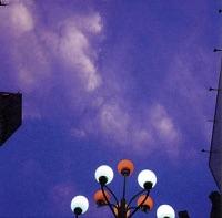 雨曝しなら濡れるがいいさ