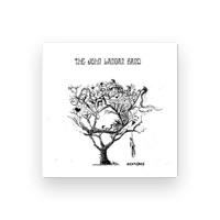 The John Langan Band