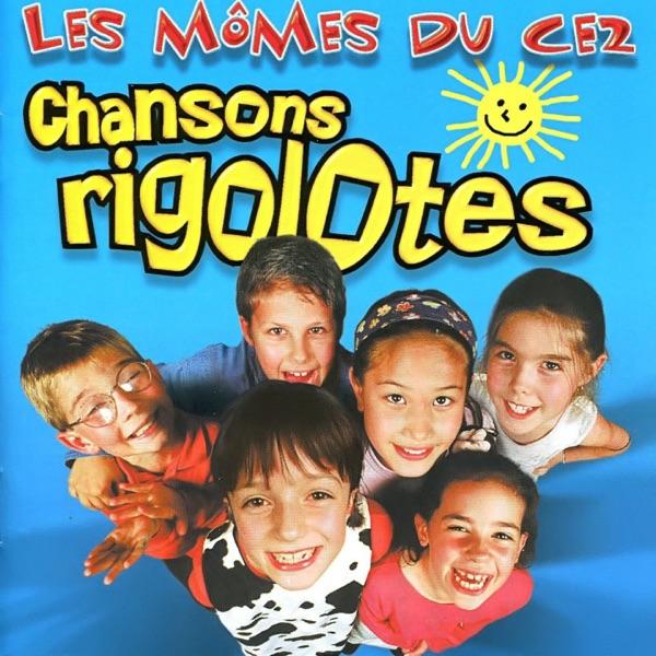 Un petit chat gris
