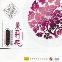 Plum Blossoms This Year (Jin Nian Mei Hua Kai)