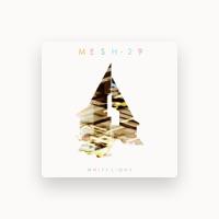 Mesh-29