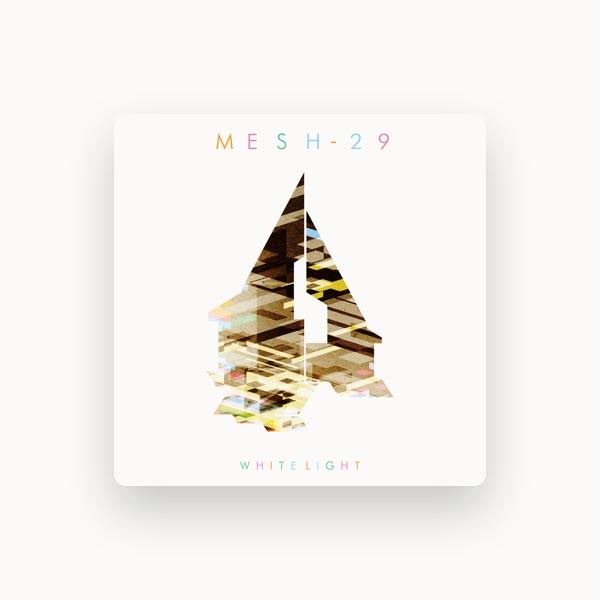 Mesh-29
