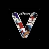 The Vibrators