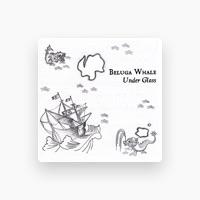 Beluga Whale